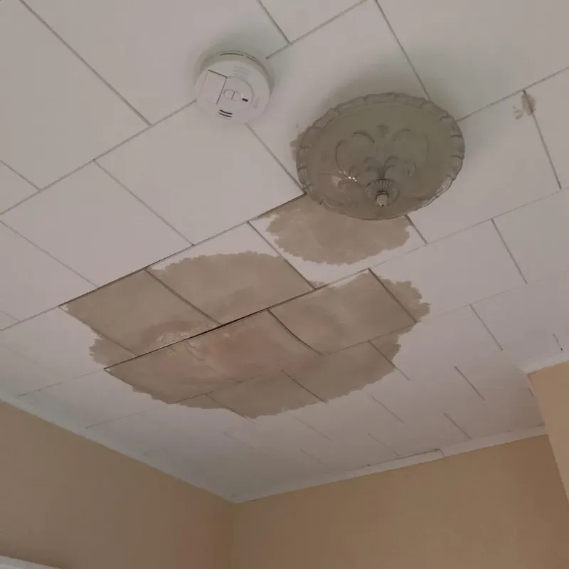 Ceiling Water Damage Repair in Hoisington, KS