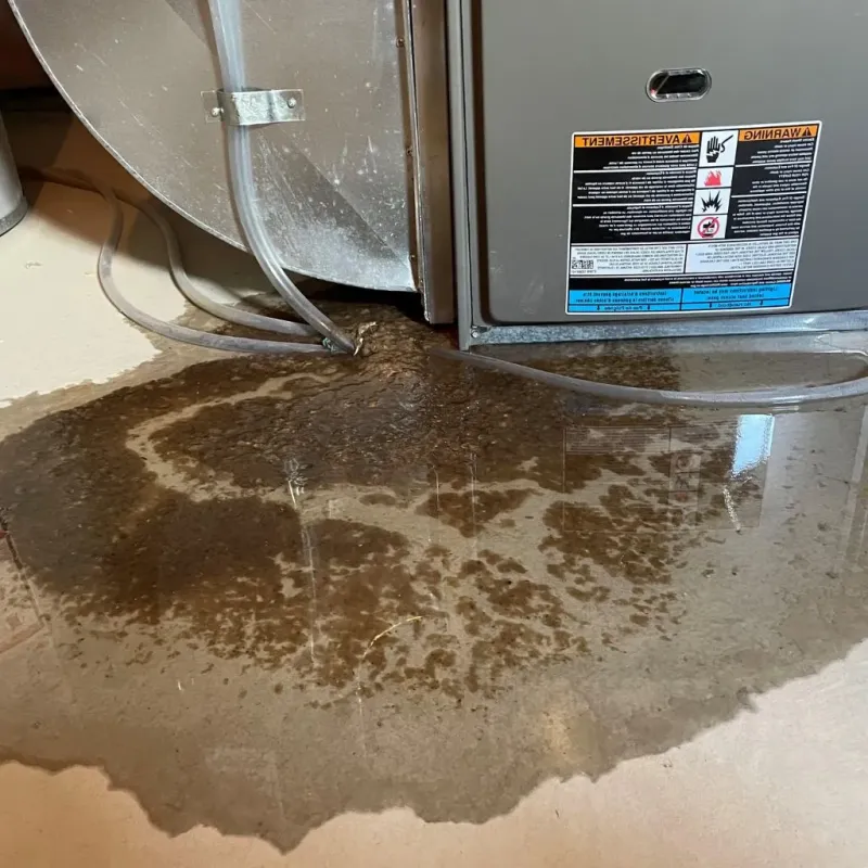 Pipe Burst and Leak Restoration in Hoisington, KS