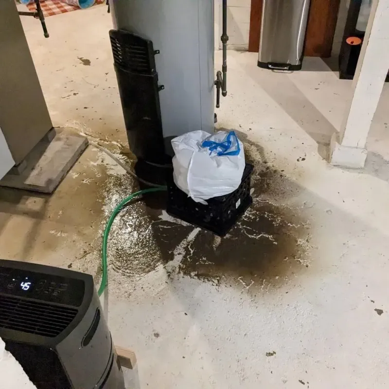 Sewage Backup Cleanup Service in Hoisington, KS